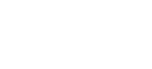 STOWN Phượng Mao